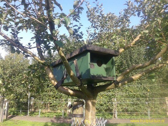 Uilennestkast